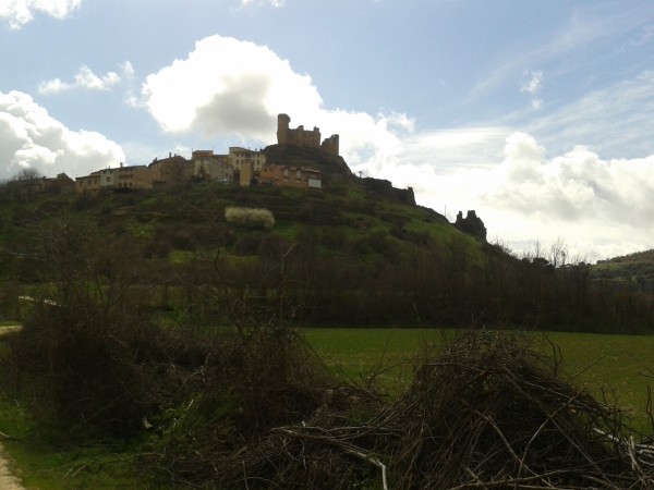 vista del castillo de Pelegrina